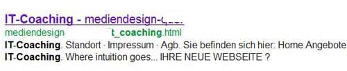 google-snippet-2